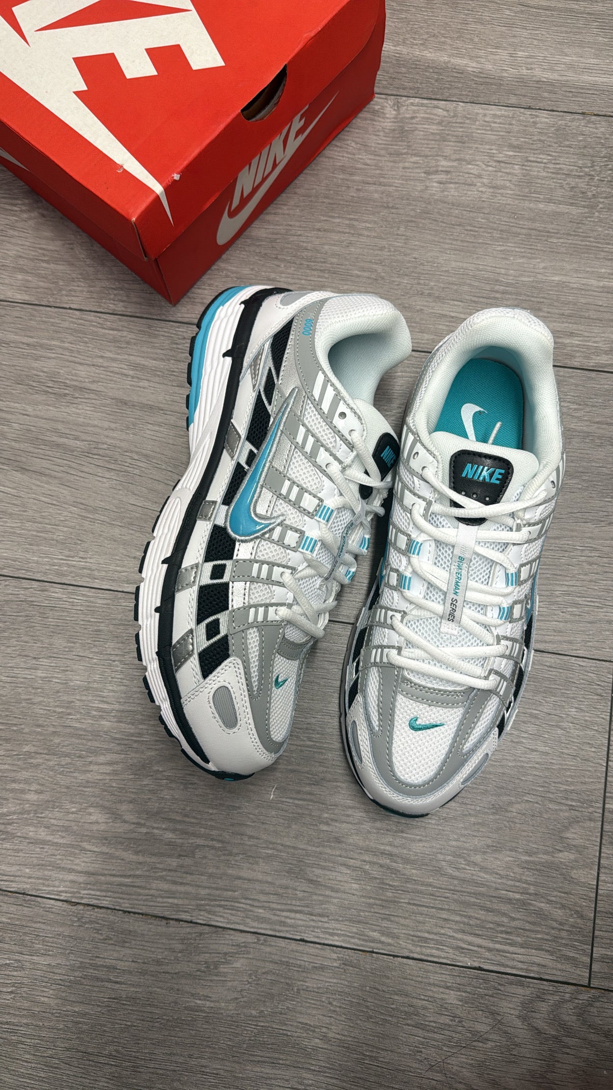 P6000 ‘Dusty Cactus’